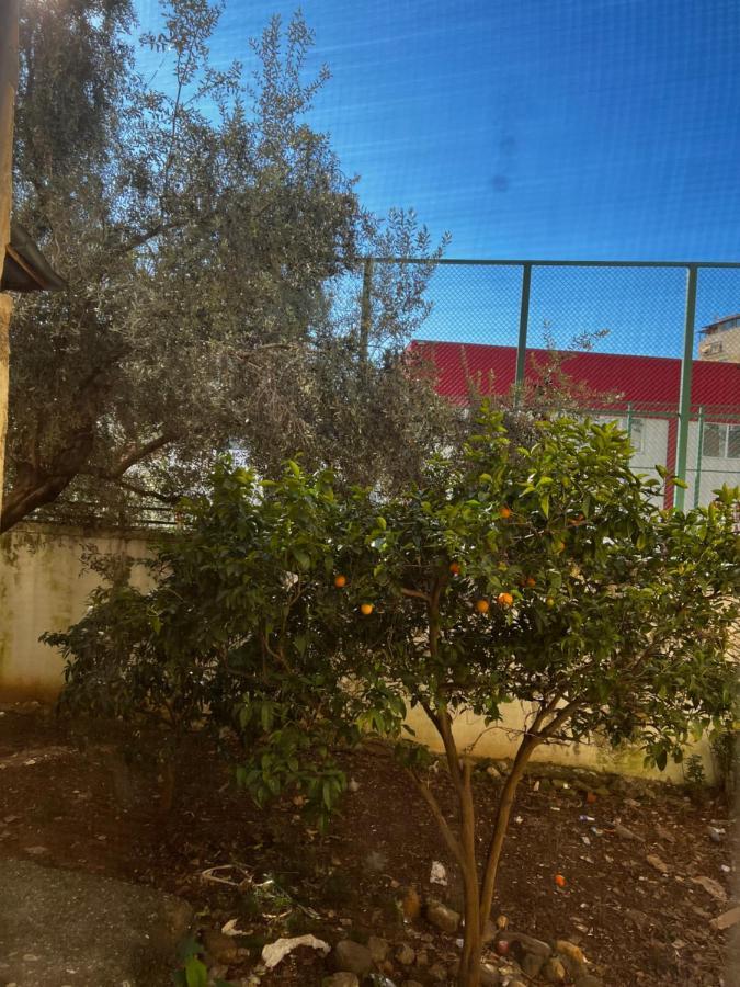 Amion Apartment In Center Of تيرانا المظهر الخارجي الصورة